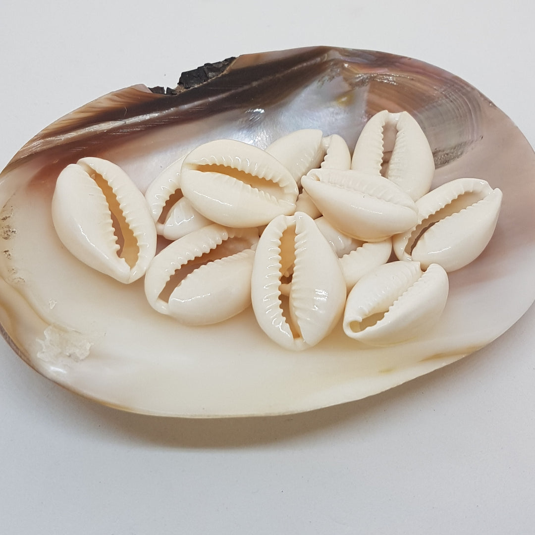 Find Kauri musling hos Beadhouse of Copenhagen i dag, med en altid hurtig levering!